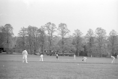 Cricket on common