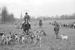 Horses & Hounds