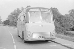 Viceroy Coach