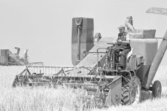 Harvesting