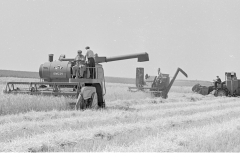 Harvesting