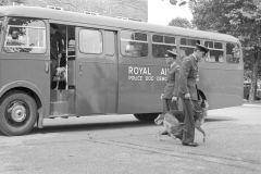 RAF Police dogs