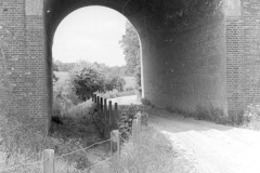 Railway Arch Beechy Ryde