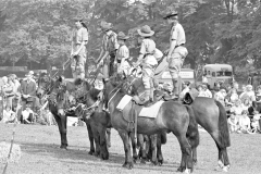 Stunt scouts on horseback