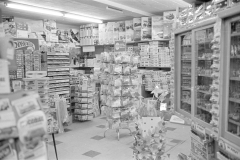 Toy shop opening