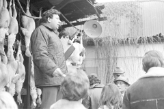Poultry Market