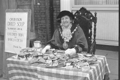 Kitty Wilson fund raising