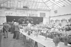 Flower Show