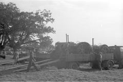 Ploughing competition